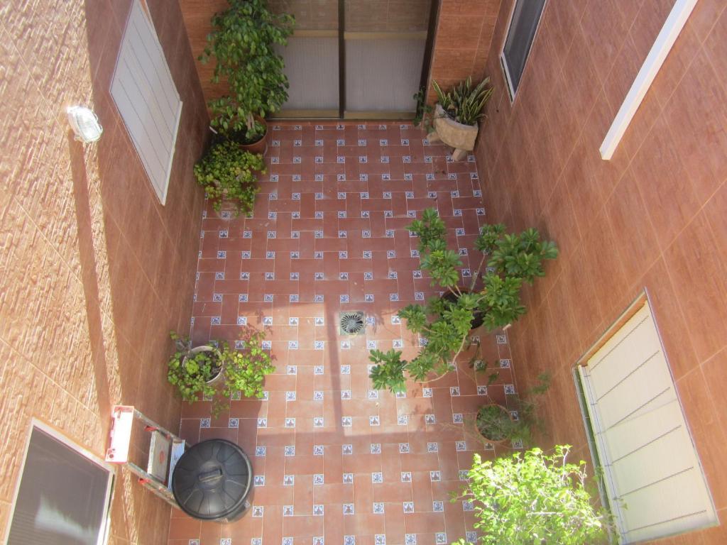 Hostal Avenida Кониль-де-ла-Фронтера Экстерьер фото